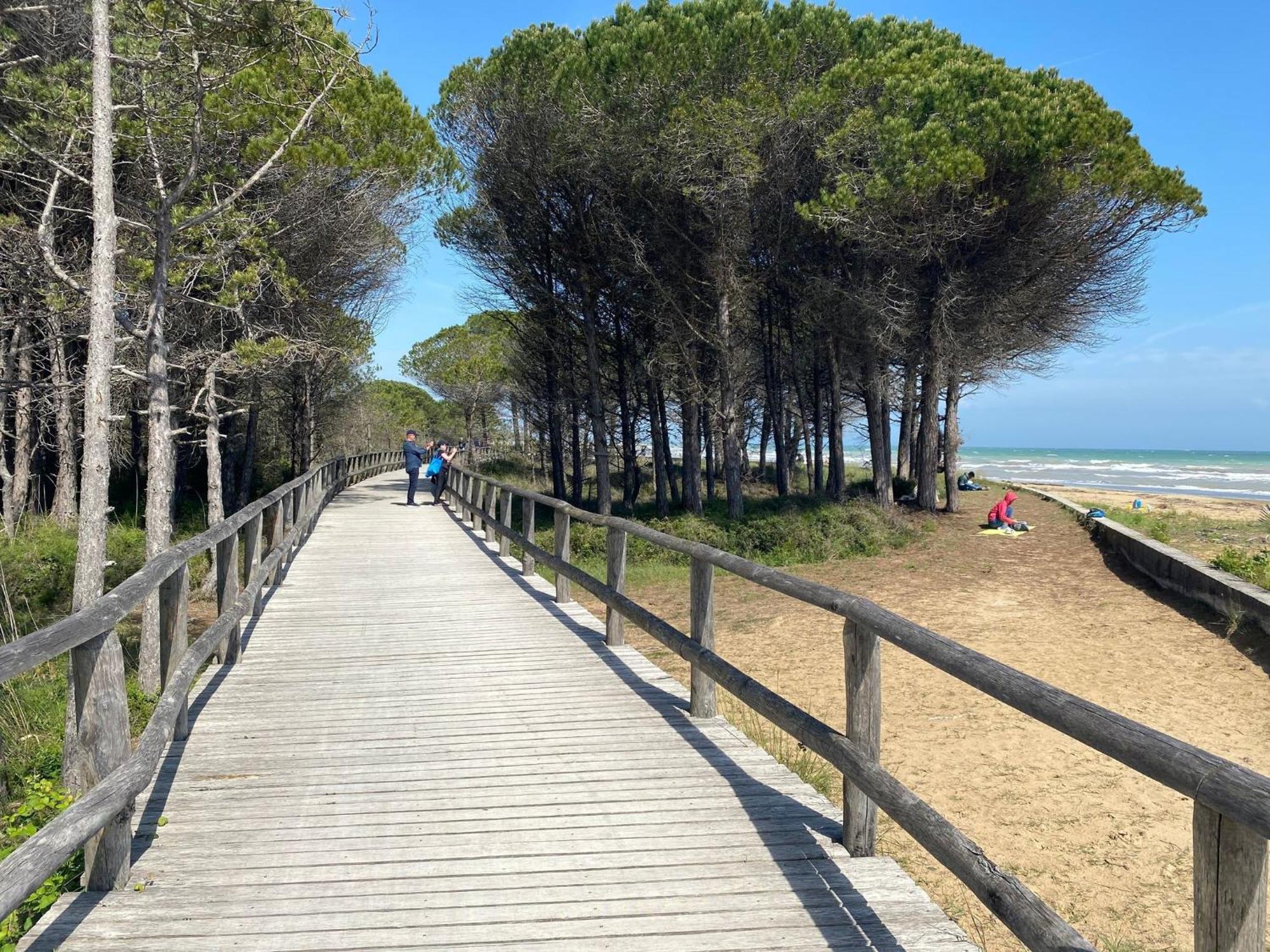 Flat With Luminous Terrace Close To The Sea Apartment Bibione